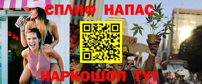 амф Новозыбков