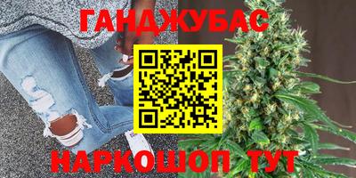 гидра Новодвинск