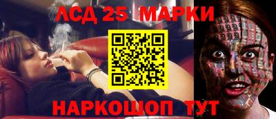 гидра Новодвинск