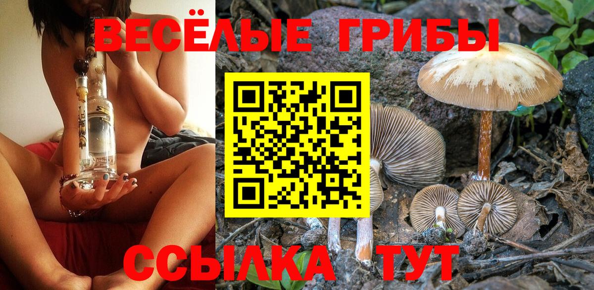 Псилоцибиновые грибы Cubensis Реж